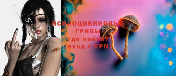 spice Кодинск