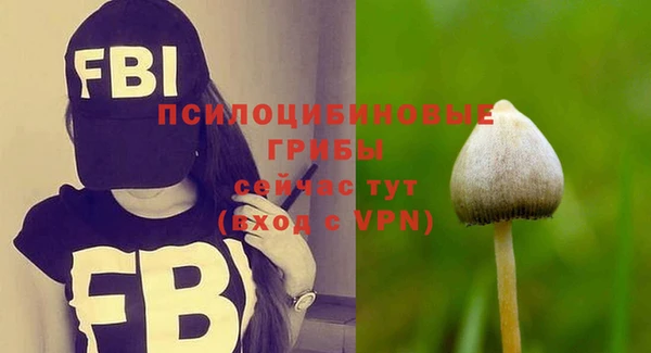 spice Кодинск