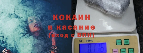 твердый Козельск