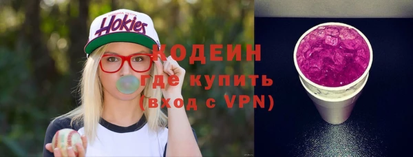 твердый Козельск