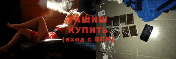 твердый Козельск