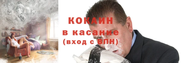 твердый Козельск