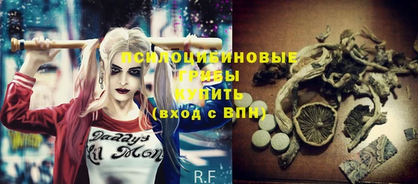 твердый Козельск