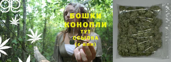 твердый Козельск