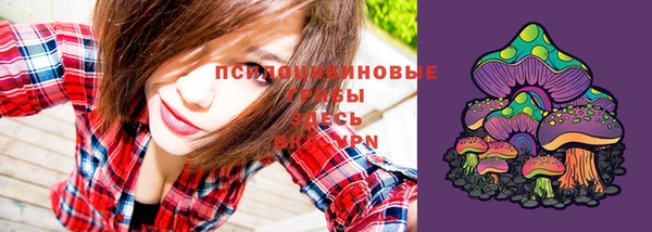 твердый Козельск