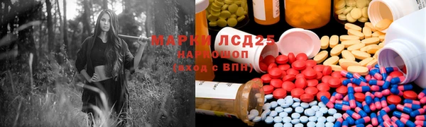 spice Кодинск