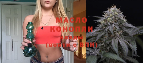твердый Козельск