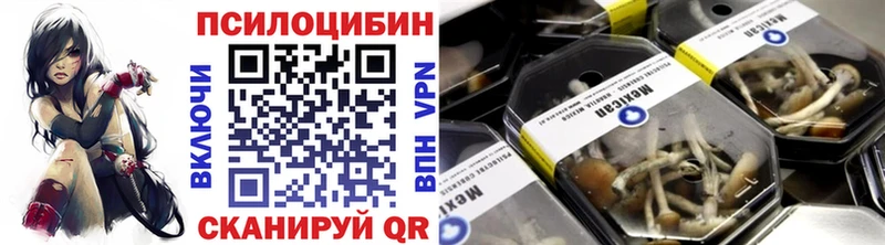 Купить  Калтан  Галлюциногенные грибы Psilocybine cubensis 